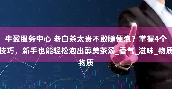 牛盈服务中心 老白茶太贵不敢随便泡？掌握4个技巧，新手也能轻松泡出醇美茶汤_香气_滋味_物质